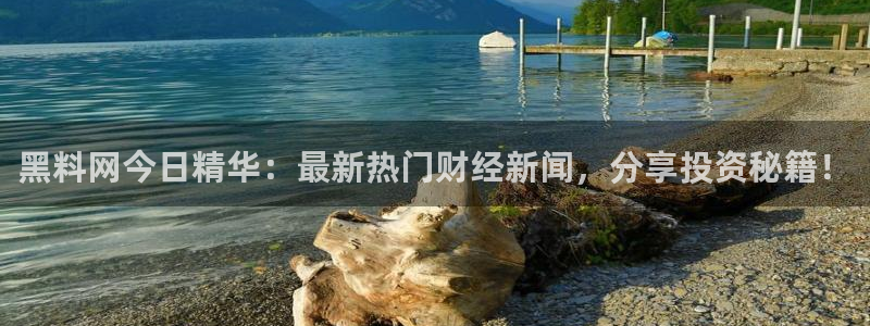 hongkongdoll 51吃瓜：黑料网今日精华：最新热门财经新闻，分享投资秘籍！