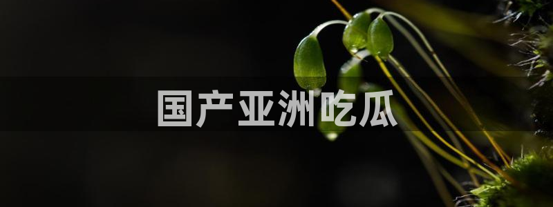 718.sⅹ 吃瓜：国产亚洲吃瓜