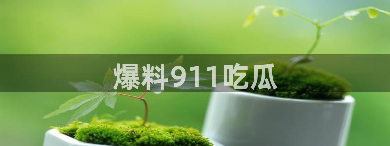 吃瓜网 今日吃瓜 热门大瓜：爆料911吃瓜