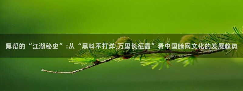 51全网更新最快最全的吃瓜网：黑帮的“江湖秘史”:从“黑料不打烊,万里长征最”看中国暗网文化的发展趋势