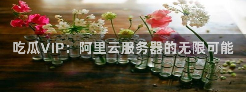 cggolive51吃瓜：吃瓜VIP：阿里云服务器的无限可能