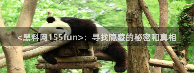 高血糖可以吃茄瓜吗：<黑料网155fun>：寻找隐藏的秘密和真相