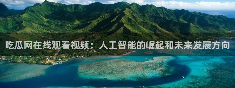 长生武道从九龙夺嫡开始吃瓜：吃瓜网在线观看视频：人工智能的崛起和未来发展方向