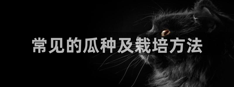 24小时吃瓜不间断