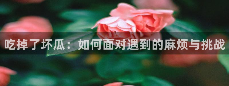 51吃瓜网每日榜单：吃掉了坏瓜：如何面对遇到的麻烦与挑战