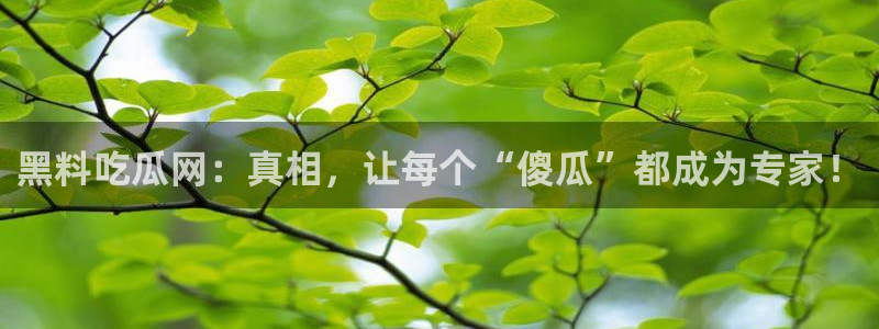 黑料,