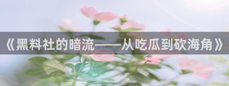 yourport吃瓜网：《黑料社的暗流——从吃瓜到砍海角》