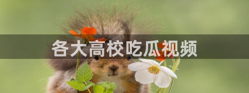 高血糖可以吃籽瓜吗
