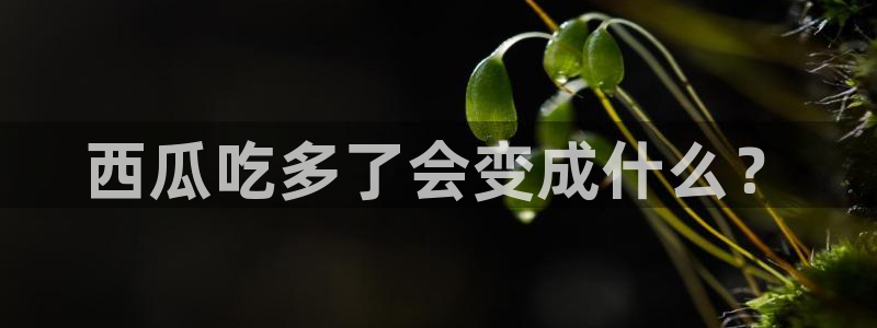 吃瓜发现我家皆大佬