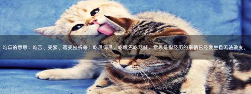 黑料：吃瓜的意思：吃苦、受累、遭受挫折等；吃瓜得瓜，吃哑巴吃骂缸，意思是指经历的事情已经发生且无法改变。