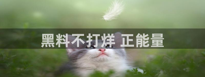 91今日吃瓜热门大瓜：黑料不打烊 正能量