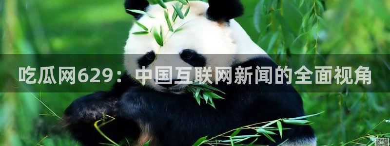 51cgfun吃瓜网怎么进：吃瓜网629：中国互联网新闻的全面视角