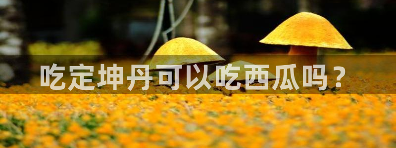 51吃瓜网今日吃瓜热门吃瓜：吃定坤丹可以吃西瓜吗？