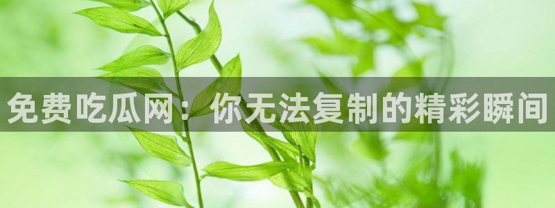 www.吃瓜：免费吃瓜网：你无法复制的精彩瞬间