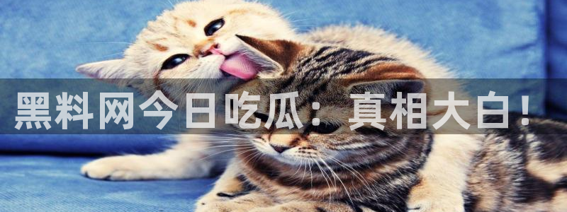 51吃瓜网张津瑜：黑料网今日吃瓜：真相大白！