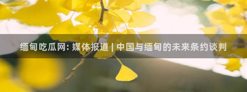 51cg今日吃瓜热门：缅甸吃瓜网: 媒体报道 | 中国与缅甸的未来条约谈判