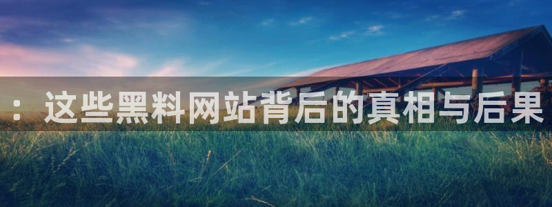 51吃瓜全网最快更新今日热门吃瓜：：这些黑料网站背后的真相与后果