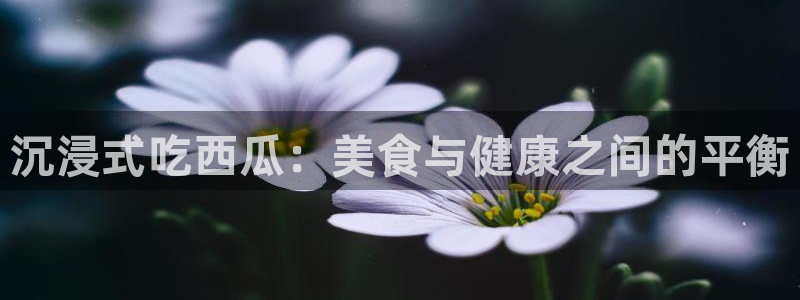 51吃瓜全网更新最快的吃瓜网：沉浸式吃西瓜：美食与健康之间的平衡