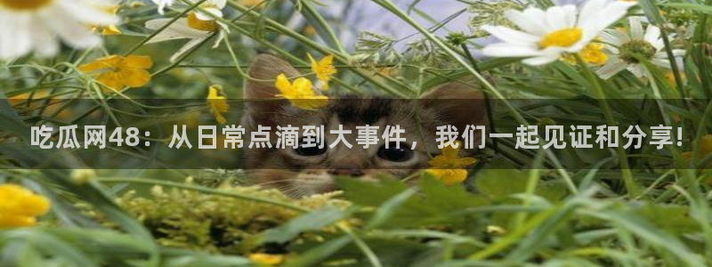 五一吃瓜今日必吃：吃瓜网48：从日常点滴到大事件，我们一起见证和分享!