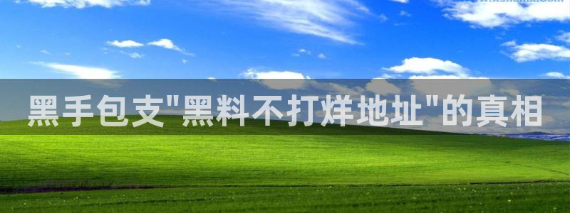 51吃瓜全网最快的吃瓜网站：黑手包支\