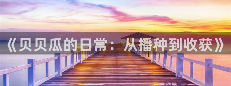 各种网红爆料吃瓜网站：《贝贝瓜的日常：从播种到收获》