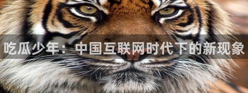 51吃瓜网小鹿酱