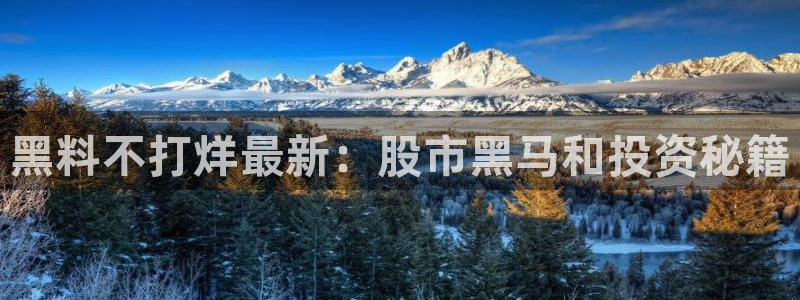 吃瓜www：黑料不打烊最新：股市黑马和投资秘籍